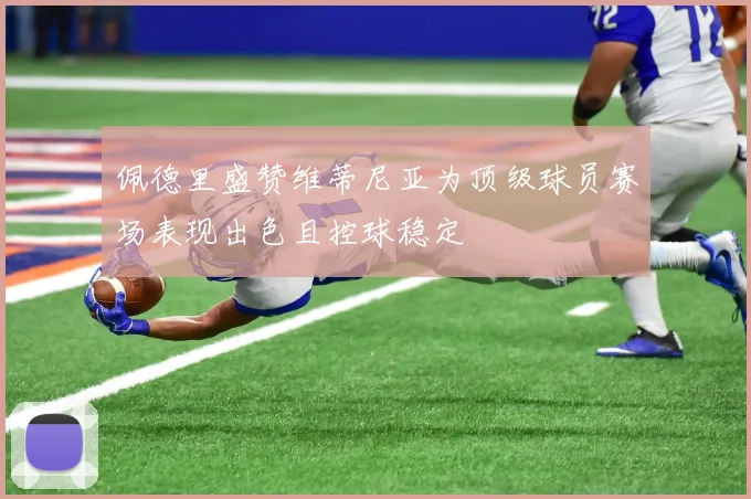 佩德里盛赞维蒂尼亚为顶级球员赛场表现出色且控球稳定